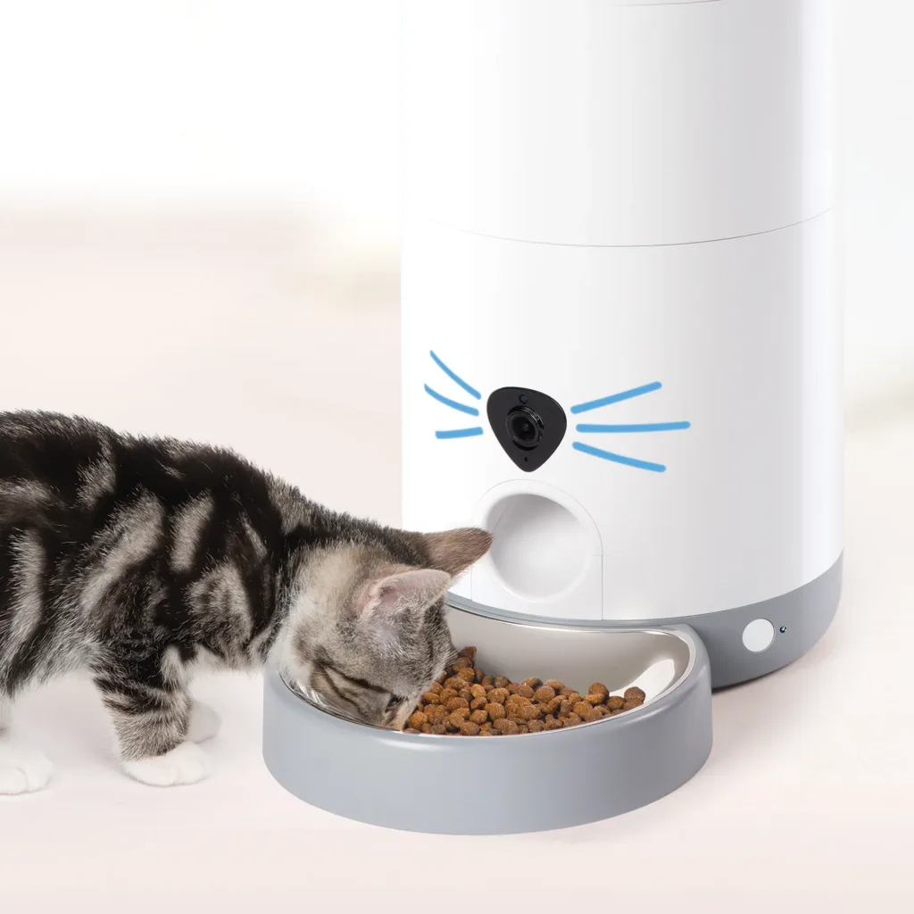 Smart feeders: Best Tech Gadgets for Cats