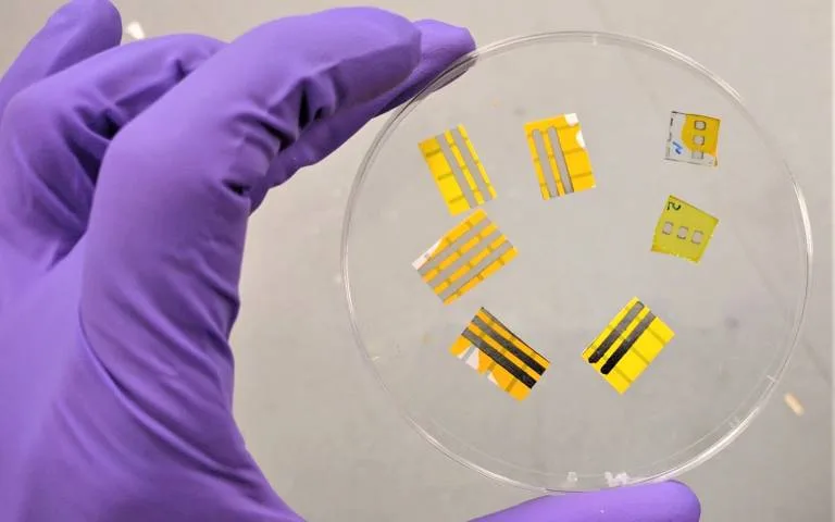 Glowing Smart Tattoos Could Be the Future of Body Tech