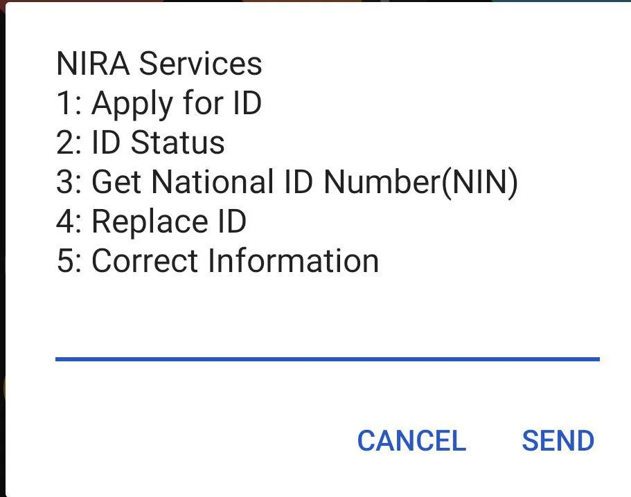 How to Check NIN Number Online in Uganda