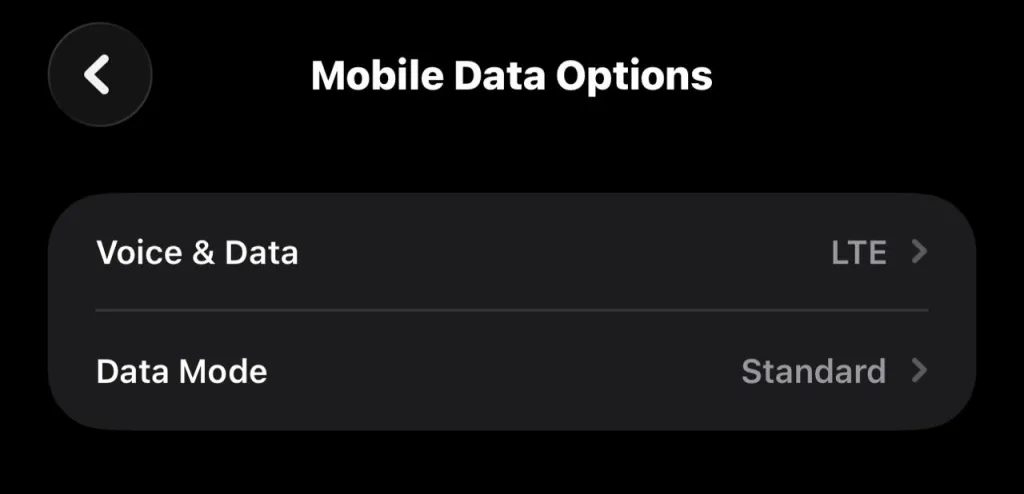 iPhone Mobile Data