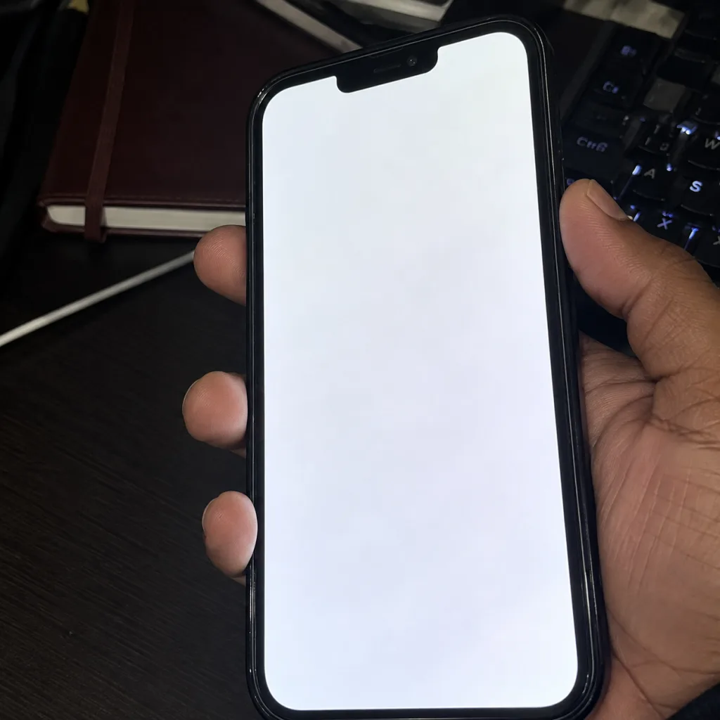iPhone 13 Pro Max White Screen of Death: Common Causes and Fixes